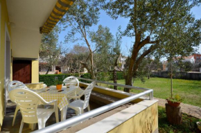 Apartment Branka